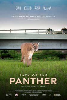 Path of the Panther (2022) afişi
