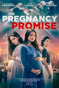 The Pregnancy Promise (2023) afişi