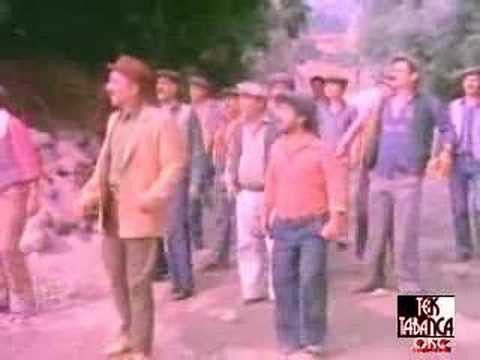 Şalvar Davası Fotoğrafı