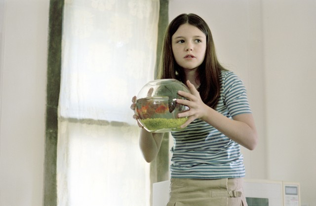 Alfa Erkeği fotoğrafı