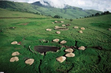 Pembe Kanatlar: Flamingolarin Gizemi Fotoğrafı