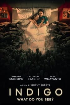 Indigo (2023) afişi