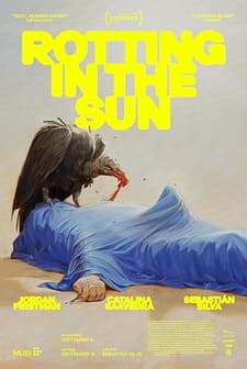 Rotting in the Sun (2023) afişi