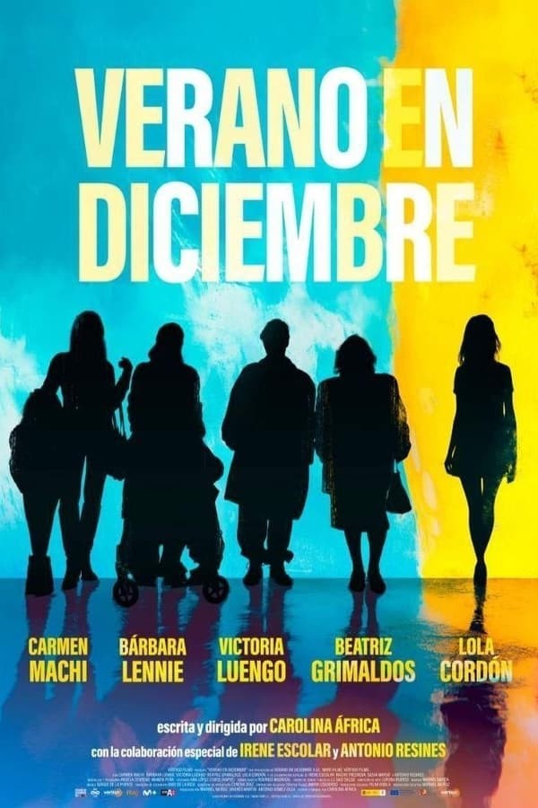 Verano en diciembre (2024) afişi