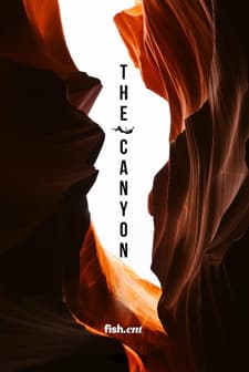 The Canyon afişi