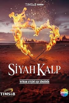 Siyah Kalp (2024) afişi