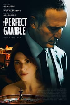 The Perfect Gamble afişi