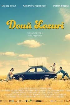 İki Piyango Bileti (2016) afişi