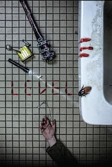 Level (2017) afişi