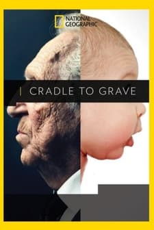 Beşikten Mezara (2017) afişi