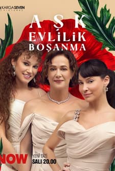 Aşk Evlilik Boşanma (2024) afişi