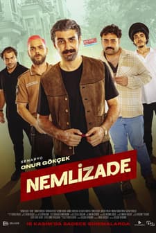 Nemlizade (2024) afişi
