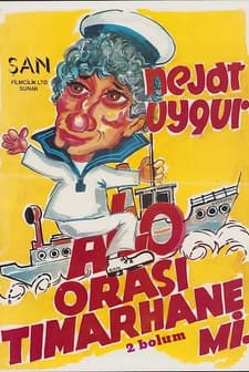 Alo Orası Tımarhane mi? (1980) afişi
