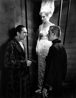 Kara Kedi fotoğrafı