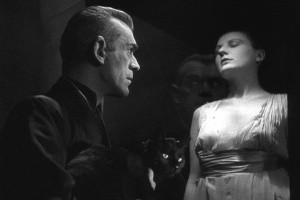 Kara Kedi Fotoğrafı