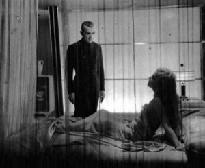 Kara Kedi fotoğrafı