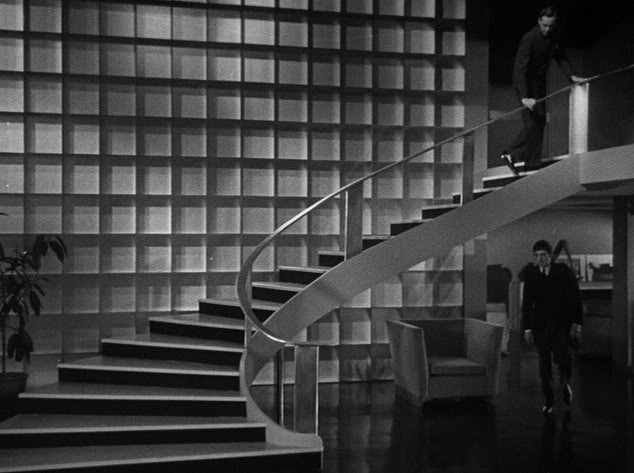 Kara Kedi fotoğrafı