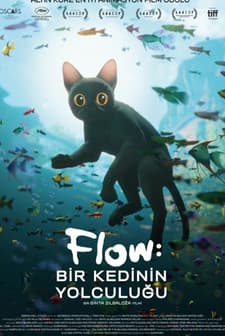 Flow: Bir Kedinin Yolculuğu (2024) afişi