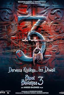 Bhool Bhulaiyaa 3 (2024) afişi