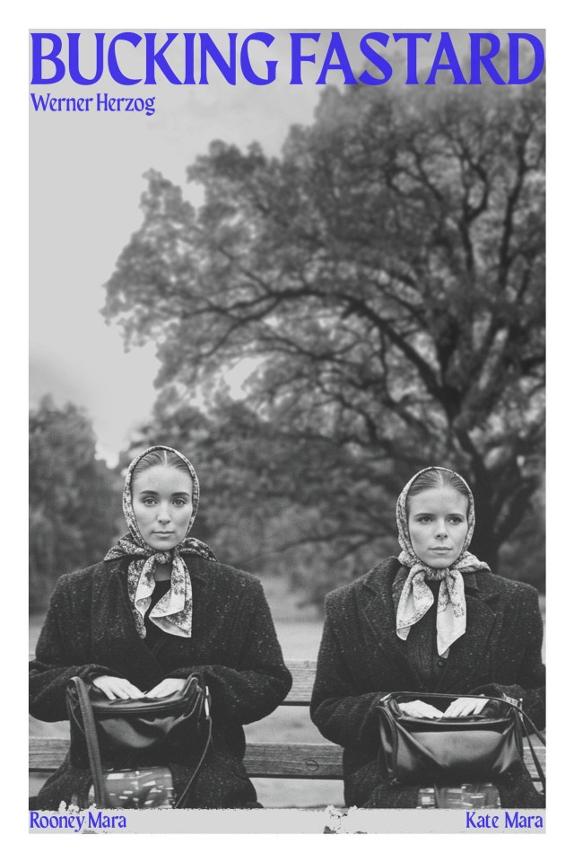 Bucking Fastard (2026) afişi