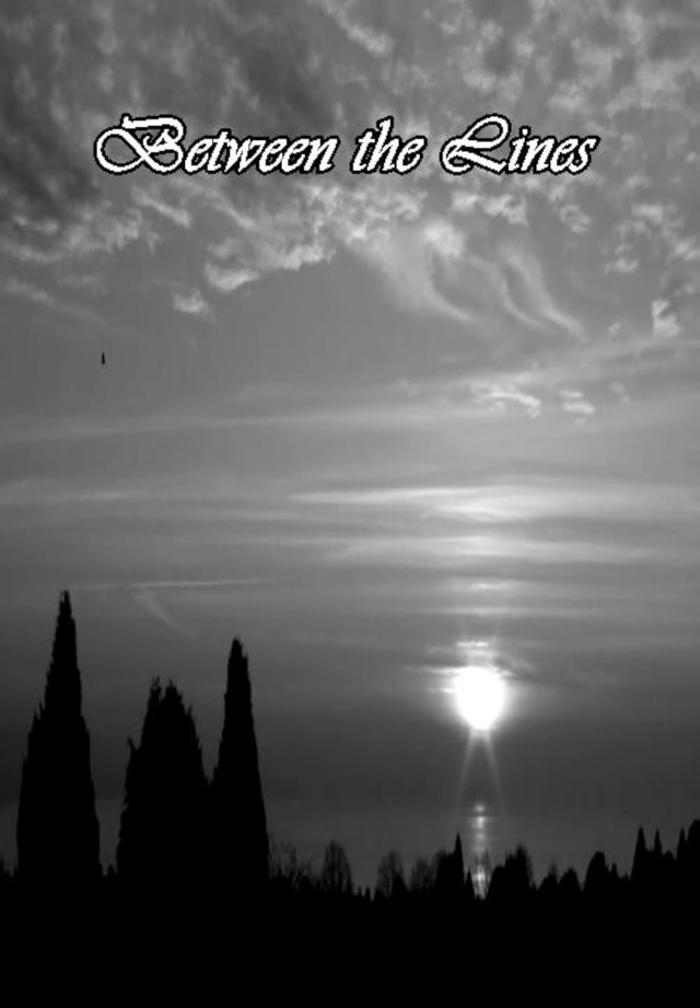 Between The Lines (2010) afişi