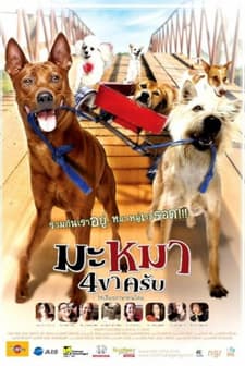 Sokak Köpekleri Çetesi (2007) afişi