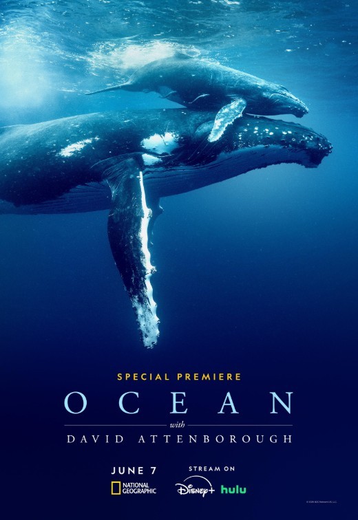 Ocean with David Attenborough (2025) afişi