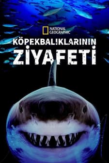 Great Shark Chow Down (2019) afişi