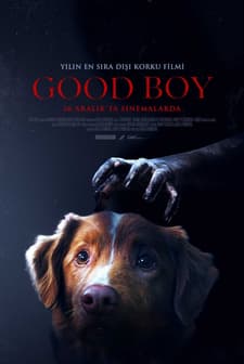 Good Boy (2025) afişi