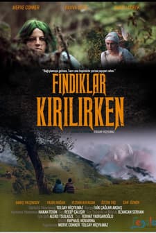 Fındıklar Kırılırken (2018) afişi