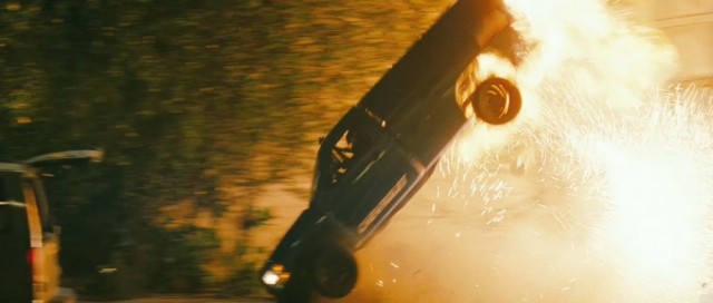 Yeşil Yaban Arısı Fotoğrafı