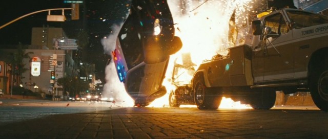 Yeşil Yaban Arısı Fotoğrafı