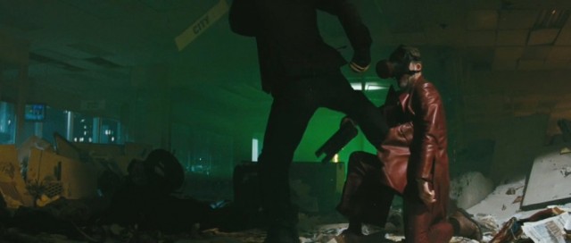 Yeşil Yaban Arısı Fotoğrafı