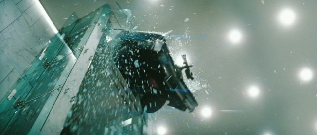 Yeşil Yaban Arısı Fotoğrafı