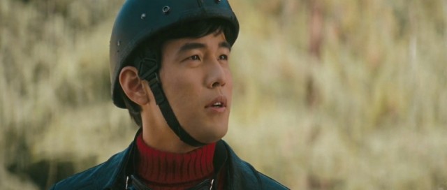 Yeşil Yaban Arısı Fotoğrafı