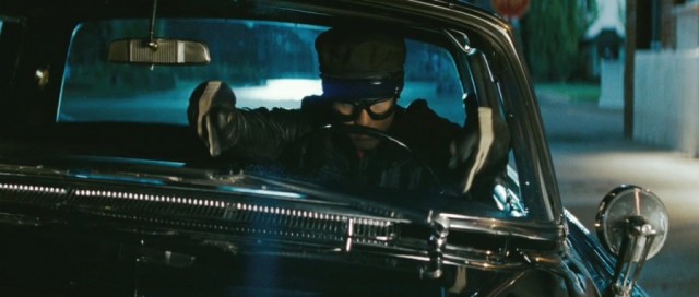 Yeşil Yaban Arısı Fotoğrafı