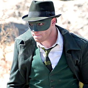 Yeşil Yaban Arısı Fotoğrafı