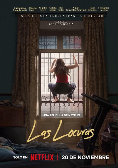 Çıldırmanın Eşiğinde (2025) afişi