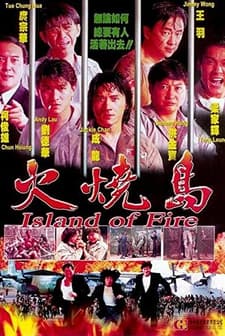 Island of Fire (1990) afişi