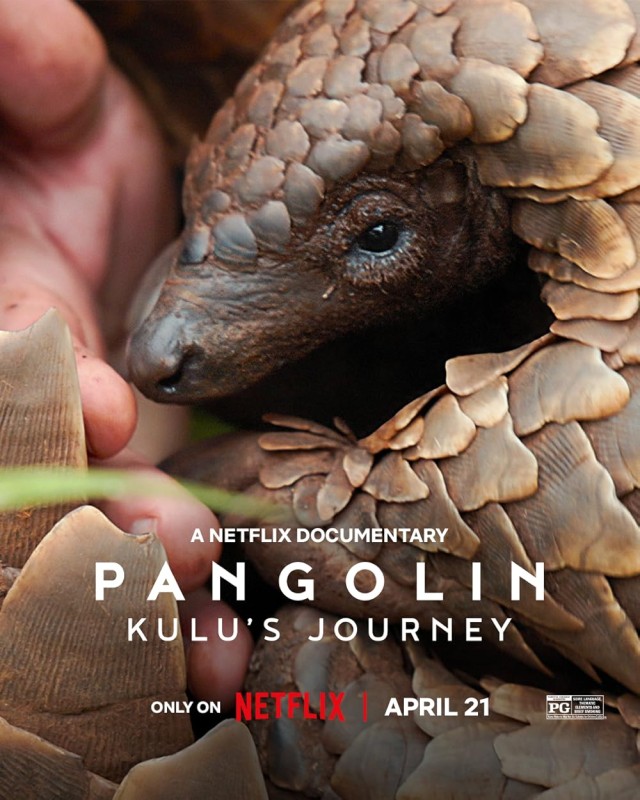 Pangolin: Kulu's Journey (2025) afişi