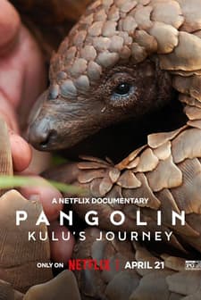 Pangolin: Kulu's Journey (2025) Fragman (2025) afişi