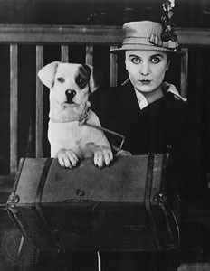 A Dog's Life fotoğrafı