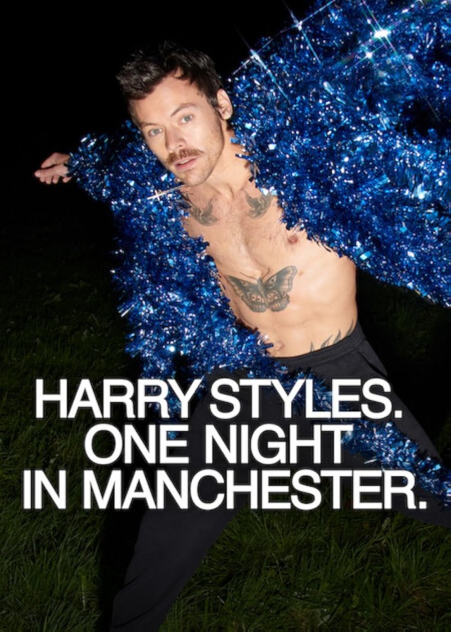 Harry Styles: Manchester'da Bir Gece (2026) afişi