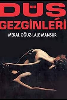 Düş Gezginleri (1992) afişi