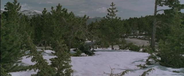 Yetimhane Fotoğrafı