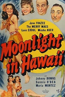 Moonlight In Hawaii (1941) afişi