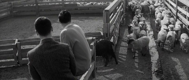 Compulsion Fotoğrafı