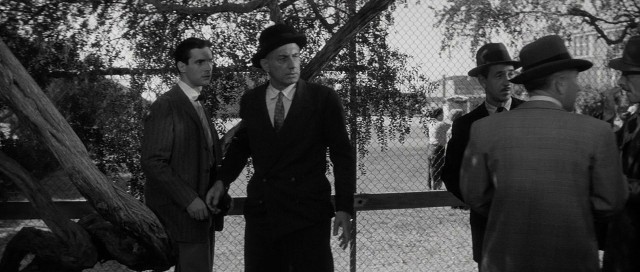 Compulsion Fotoğrafı