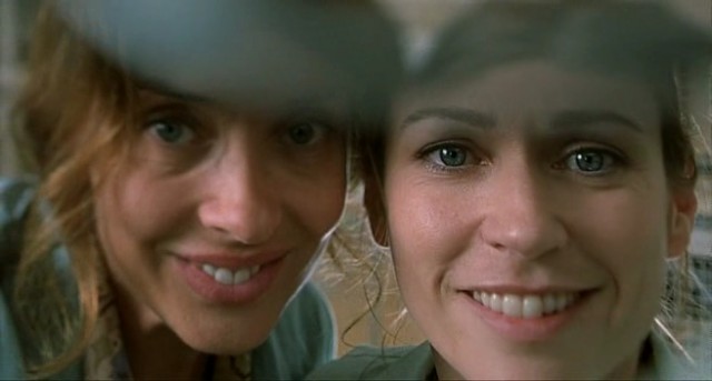 Kelebek ve Dalgıç Fotoğrafı