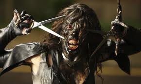 Doghouse fotoğrafı